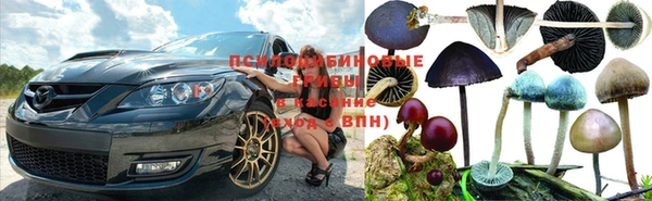 соль ск Балахна
