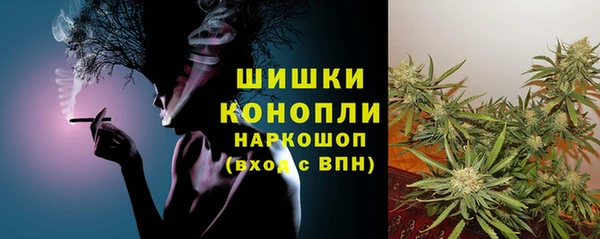 соль ск Балахна