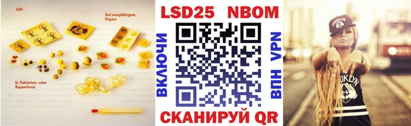 ссылка на мегу как зайти  Жиздра  Лсд 25 экстази кислота 