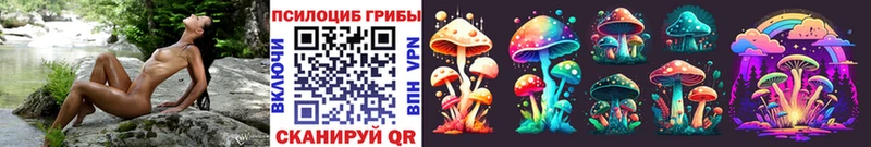 блэк спрут как зайти  Жиздра  Галлюциногенные грибы Cubensis 